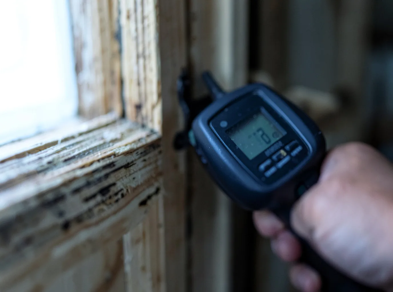 Moisture Inspection And Documentation in Huntington, TX